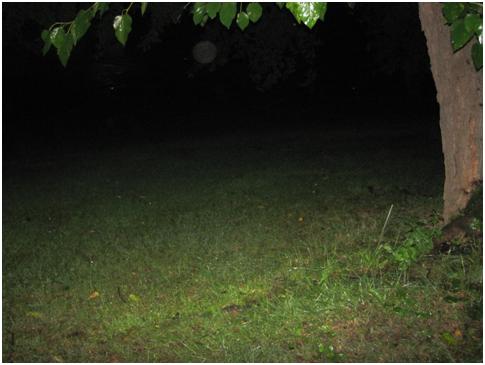 Evidence Photo
