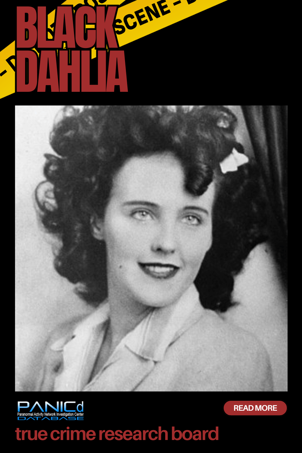 Black Dahlia